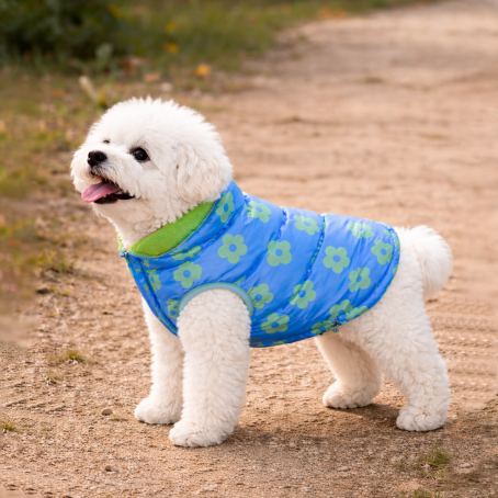 Geacă de iarnă reversibilă și elegantă pentru câini, verde / albastru cu imprimeu floral