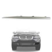 Ornament pentru grila stângă din bara față pentru BMW X5 E70 (2007–2010)